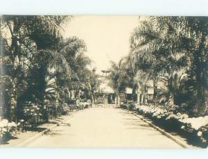 Old rppc NATURE SCENE Great Postcard AB0609