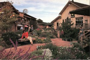 The Barnyard Carmel CA California GIANT Oversize View Postcard