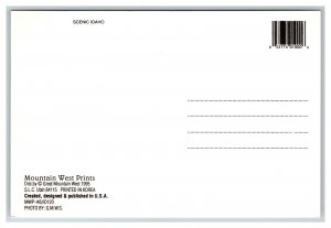 IDAHO The Gem State Postcard Continental Multi View