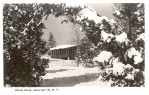 Vintage Postcard Real Photo Winter Scene House Yard Mountainville New York RPPC