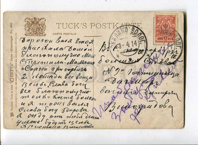 261183 Hunt pointer DOG hare vintage TUCK RPPC Russia Skalino