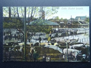 Suffolk IPSWICH Cattle Market - Old Postcard by W.J.B. Series