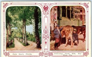 c1909 Key West Fla. Fresh Raw Milk Delivery from Cow! Postcard Palm Beach A37