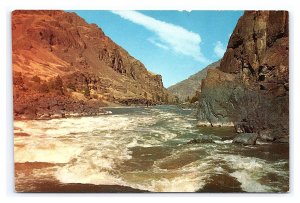 The Grand Canyon Of The Snake River Oregon Idaho Postcard