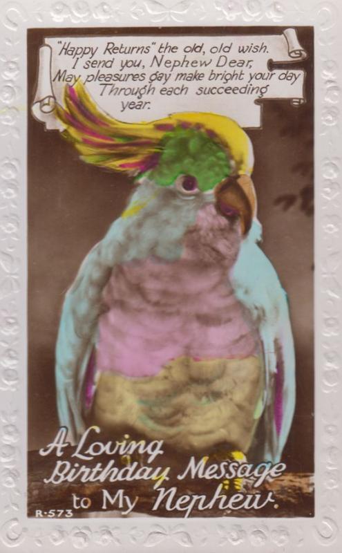 Talking Budgie Budgeriegar Happy Birthday Nephew Antique Greetings RPC Postcard