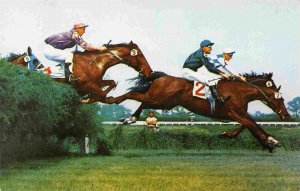 Horse Racing Steeplechase Hurdle Monmouth Park Oceanport New Jersey postcard