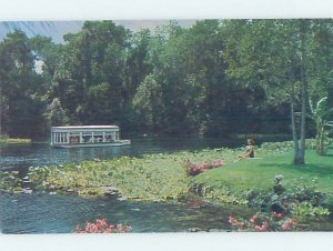 Pre-1980 SILVER SPRINGS SCENE Ocala Florida FL AF9837@