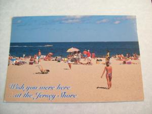 Jersey Shore, NJ  //  Unused Postcard