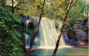 Shinglekill Waterfall Purling New York NY Catskills Mountains Forestry Postcard 