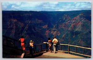 Kauai Hawaii~People Observe Waimea Canyon From Puukapele Lookout~1950s Postcard