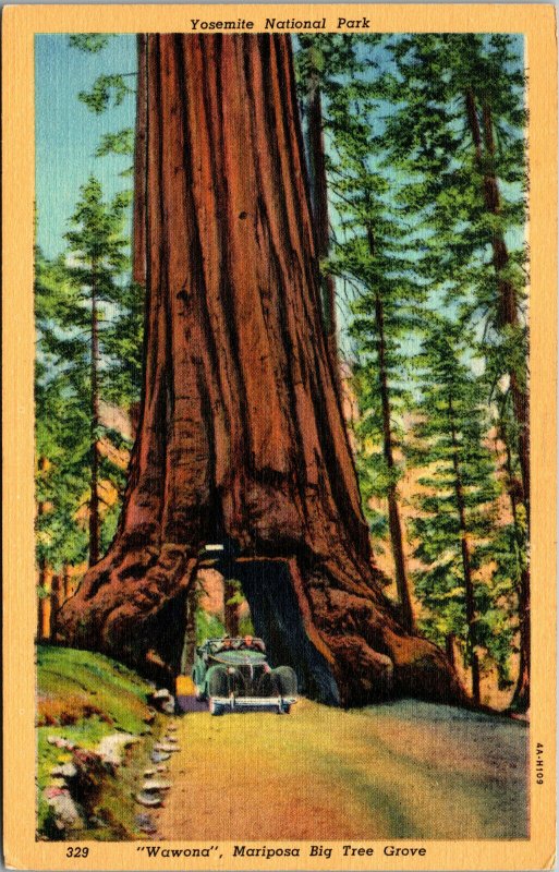 Vtg 1930s Wawona Mariposa Big Tree Grove Car Yosemite National Park CA Postcard