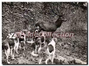 Postcard Modern Saint-L?ger-en-Yvelines house Hallali On Foot forestry