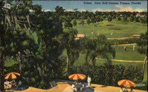 Tampa FL Palma Ceia Golf Course Postcard