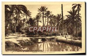 Old Postcard Gabes L & # 39Oued A Chenini