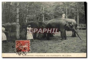 Old Postcard Paris Colonial Exhibition The Elephants From & # 39Inde