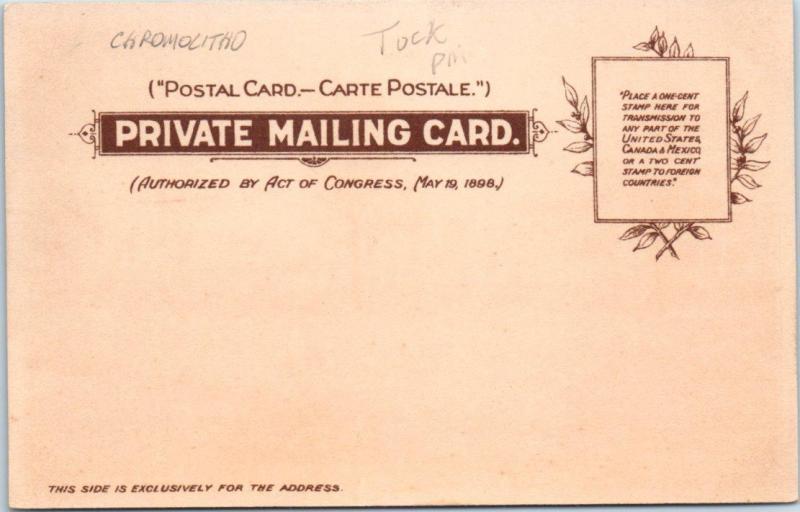 CHICAGO, IL  Tuck Chromolitho THE UNIVERSITY Private Mailing Card 1900s Postcard