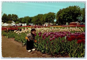 c1960 Nelis Tulip Farms Flowers Dirt Path Kids Tourist Spot Holland MI Postcard 