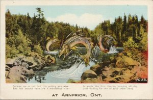 Arnprior Ontario ON Monstrous Exaggerated Fish Unused Peco Postcard G26