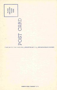 Texas A Paradise Poem 1940s linen postcard