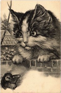 PC CATS, CAT AND MOUSE GAME, Vintage Postcard (b46666)