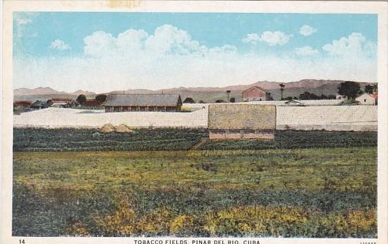 Cuba Pinar Del Rio Tobacco Fields Curteich