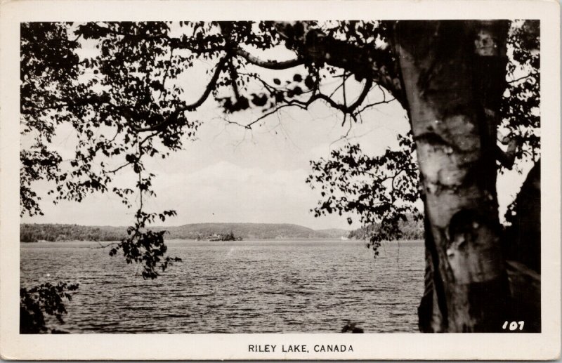 Riley Lake Muskoka ON Ontario Unused Real Photo Postcard F47 