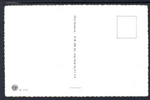 Dressed Cats at the Hat Shop.Mainzer