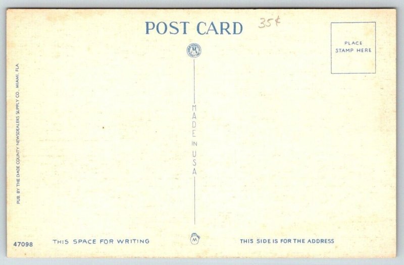 Vintage Florida Postcard - Biscayne Boulevard   Miami