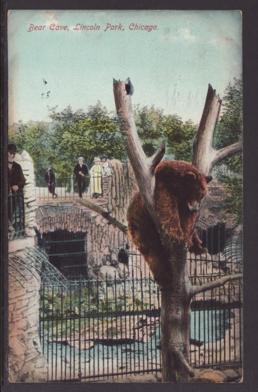 Bear Cave,Lincoln Park,Chicago,IL Postcard