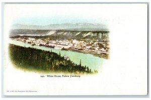 c1905 View of River at White House Yukon Territory Canada Antique Postcard