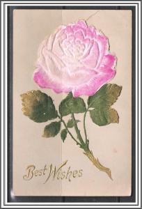 Best Wishes - Velvet Rose - Embossed - [MX-149]