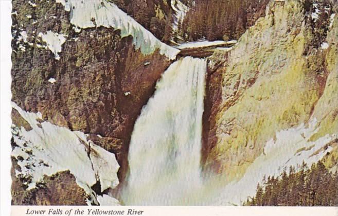 Wyoming Yellowstone National Park Lower Falls Of The Yellowstone River