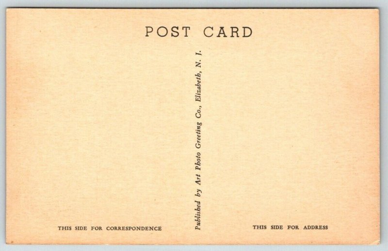 Hunterdon County Court House  Flemington  New Jersey  Postcard  c1915