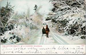 Winter Beauty of A Country Roadside Snow Horse Wagon Postcard E47