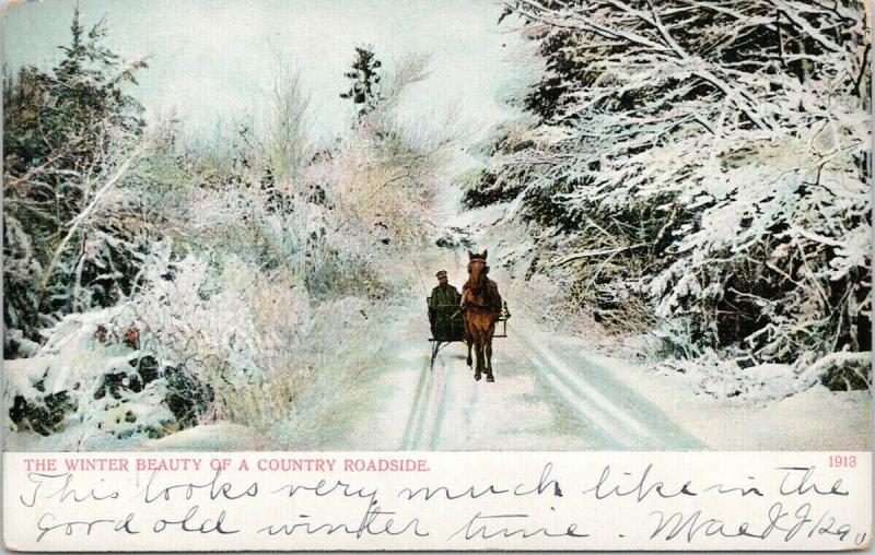 Winter Beauty of A Country Roadside Snow Horse Wagon Postcard E47