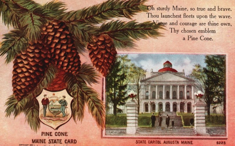 Vintage Postcard Pine Cone State Card State Capitol Building Augusta Maine ME 