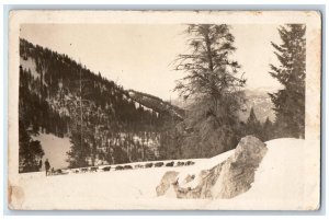 c1920's Candid Dog Sled Team Mountains Snow Evergreen Trees RPPC Photo Postcard 