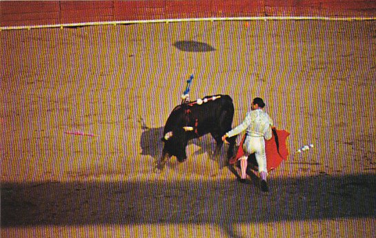 Mexico Bullfight In Old Mexico