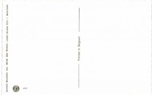 Mainzer Painter Portrait Dressed Cats Belgium MINT UNUSED 