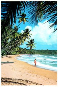 Trinidad Manzanilla Beach On The East Coast