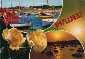 Wales Postcard - Pwllheli Harbour. Caernarvonshire. Posted 1991 - RR20189