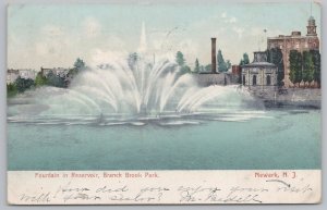 Majestic Fountain In Reservoir~Branch Brook Park~Newark NJ~Polychrome~PM 1907 PC