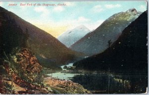 East Fork of the Skagway Alaska Vintage Linen Postcard