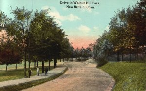 Vintage Postcard Autumn Roadway & Drive In Walnut Hill Park New Britain Conn.