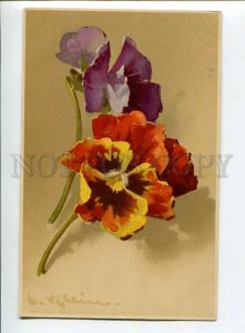 3134499 PANSY Flowers by C. KLEIN Vintage Meissner & Buch #1758