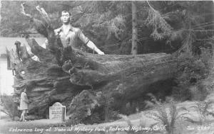 1940s Humboldt Paul Bunyan Log Trees of Mystery Redwood California RPPC 346 Zan