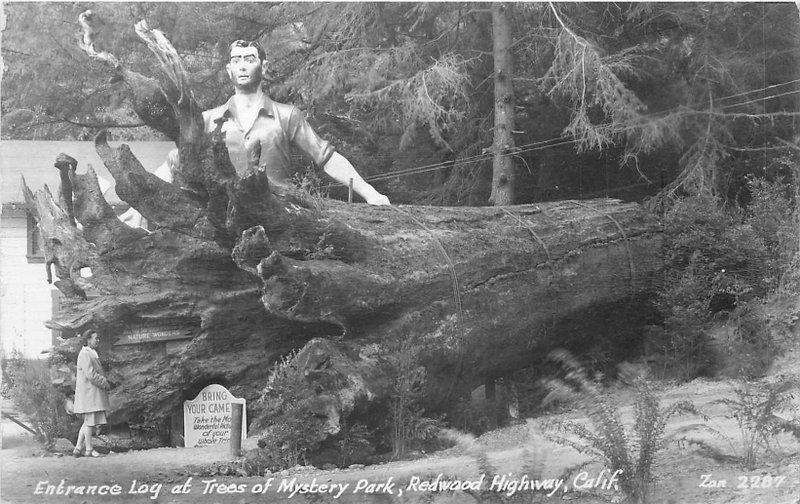 1940s Humboldt Paul Bunyan Log Trees of Mystery Redwood California RPPC