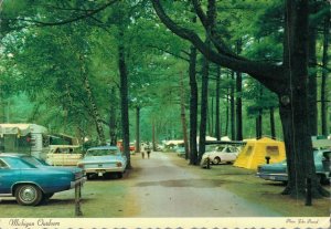 USA Michigan Outdoors Vintage Postcard BS.08