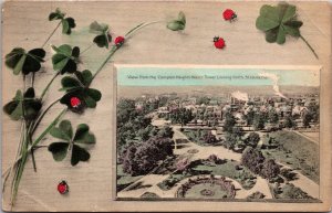 View Compton Heights Water Tower Looking North St. Louis Missouri Ladybug Clover