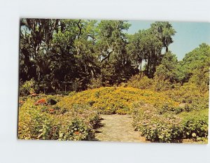 Postcard Floral Mound, Orton Plantation, Wilmington, North Carolina